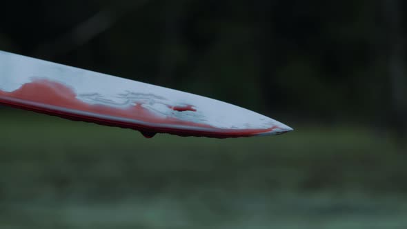 Holding Knife with Blood Closeup