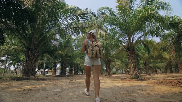 Woman Tourist with Plait Walks Looking Around at Growing Young Trees with Lush Leaves at Oil Palm