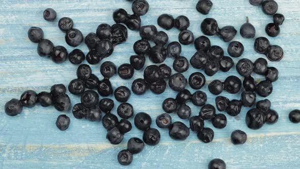 Defrosting Frozen Blueberry. Timelapse of Unfreezing, Ice Melting of Fruits, Berries on Blue Surface