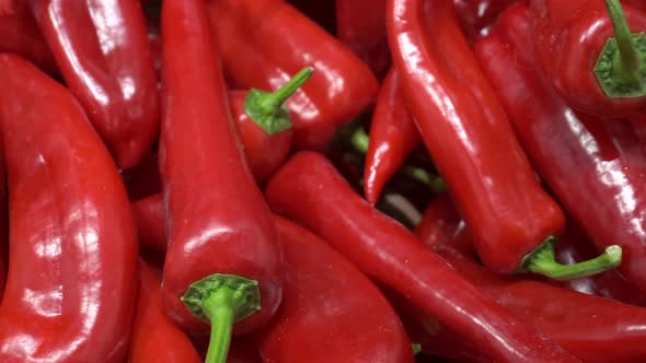 Red Paprika Bell Pepper Background