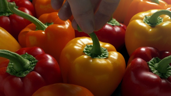 Person Takes Juicy Peppers To Make Dinner