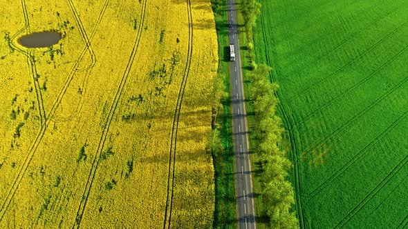 Rape fields. Agriculture in Poland. Aerial view of nature.