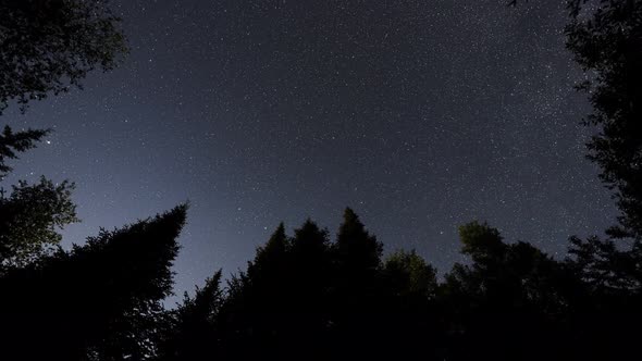 Night to morning stars milky way timelapse. Silhouette of pine trees. Planes and satellites passing