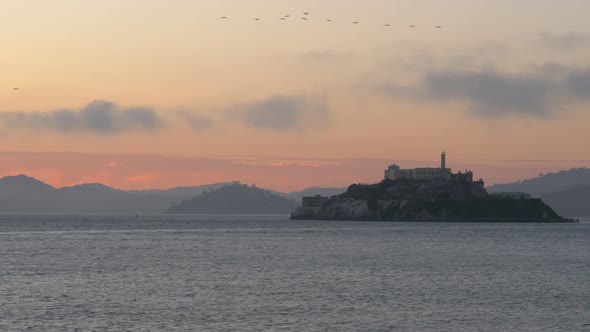 Birds fly over Alcatraz prison island at golden hour, panorama