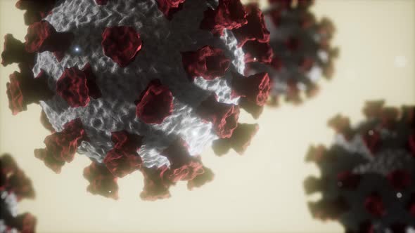 Coronavirus COVID19 Medical Model alt