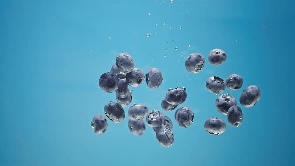 Blueberries Fall Floating in Water