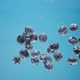 Blueberries Fall Floating in Water - VideoHive Item for Sale