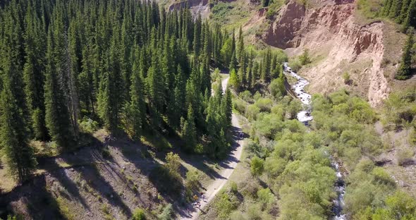 View of the Forest and Gorge From Above.