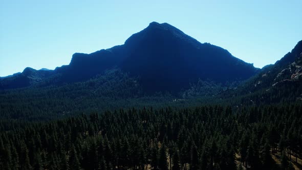 Panorama of Cone Forest at Mountains