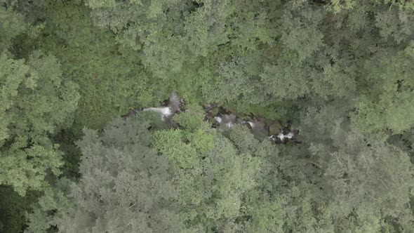 Mtirala National Park from drone, Adjara, Georgia. Flying over subtropical mountain forest