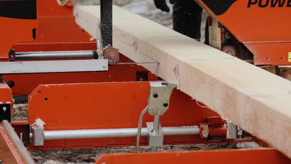 Pine board processing at the Industrial Woodworking Plant. Lumber Industry