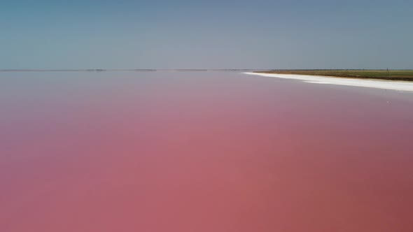 Flying Over a Pink Salt Lake