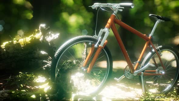 Mountain Bike on the Forest Path alt