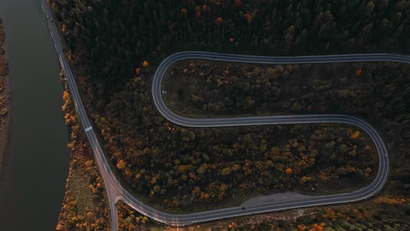 Aerial Drone View of Cargo Bus Moves Along a Serpentine Forest Mountain Road in Western Ukraine