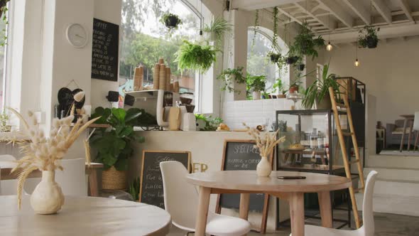 General view of modern cafe with counter, tables, chairs and plants