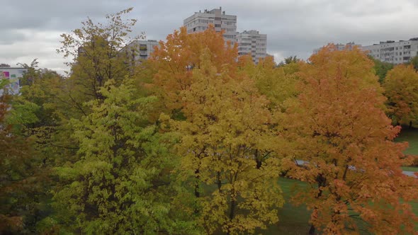 The Beauty of an Autumn Park in St