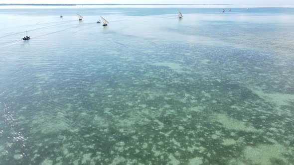 Boats in the Ocean Near the Coast of Zanzibar Tanzania