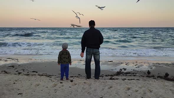 Two People an Elderly Man and Small Child Stand on Seashore and Feed Seagulls