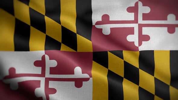 Maryland State Flag Blowing In Wind