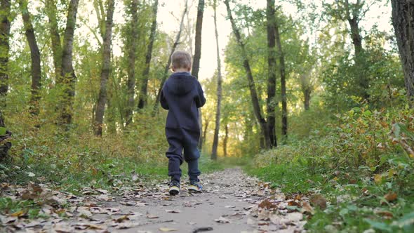 Child Running in the Yellow Leaves