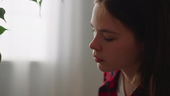 Attractive Young Woman Takes Care of Houseplant at Home