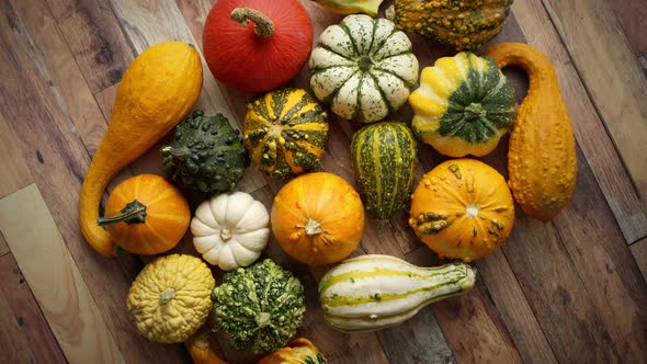 Decoration Made From Small Pumpkins