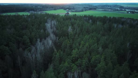 Sunrise Aerial View of Wooden Observation Tower in the Forest in Tervete Nature Park in Latvia. 4K