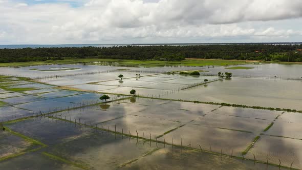 Agricultural Land in Sri Lanka