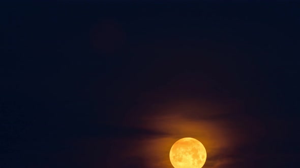 Full Golden Moon Rises in Night Sky