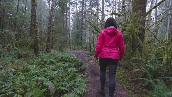 Adventurous Girl Hiking in Canadian Nature