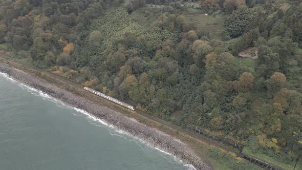 Aerial view of Georgian railway high speed train moving near the sea in Batumi. Georgia 2021