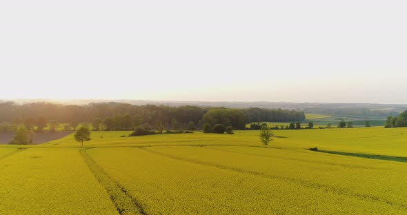 Agricultural Landscape Against Sky