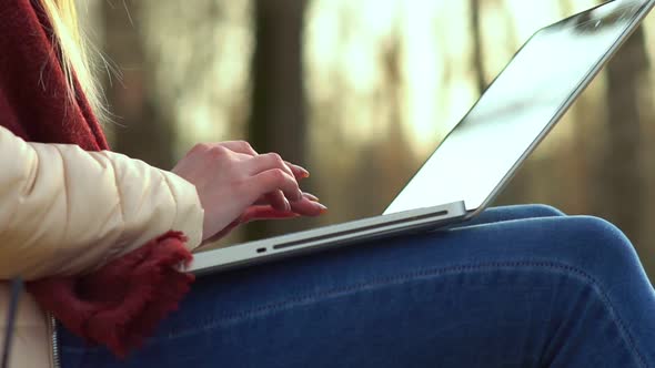 Women's Hands Typing on a Laptop Keyboard in the Park the Leaves From the Tree Fall on the Keyboard