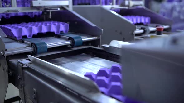 Conveyor with Empty Cartons for Eggs . Slow Motion