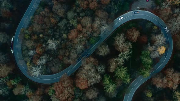 Traffic at a double bending road in the autumn season, filmed straight from above. Top down drone fo