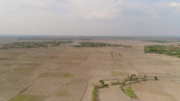 Agricultural Landscape in Indonesia