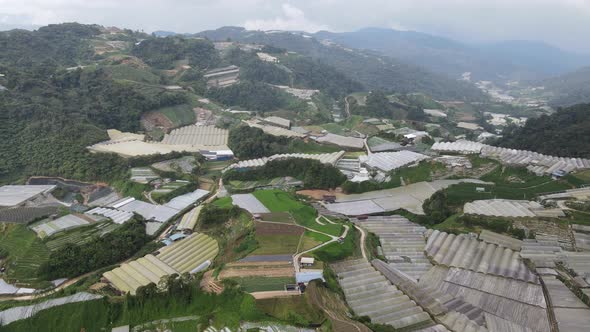 Cameron Highlands, Pahang Malaysia