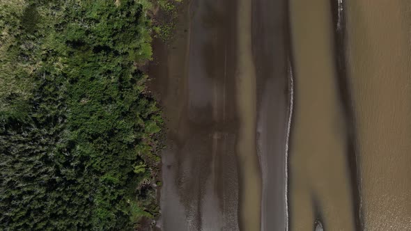 Aerial top down view across the unspoiled nature El Destino wet sand riverbank and wetland vegetatio