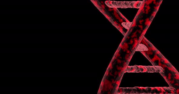 Chain of DNA Rotating alt