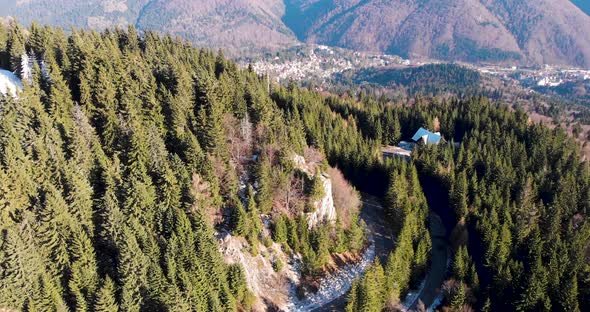 Aerial, orbit, drone shot, around a road and Romanian spruce forest