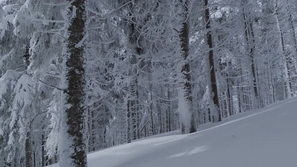 Aerial View of a Fabulous Winter Mountain Landscape Closeup