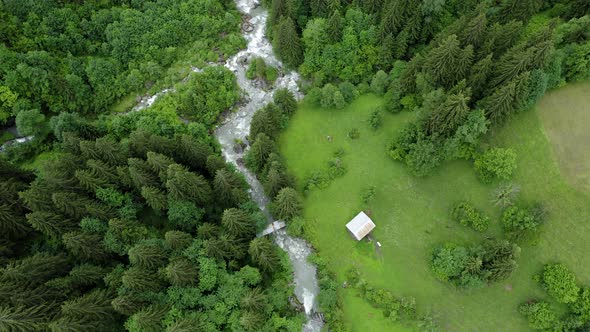 Summer Season Mountain River and Pine Tree Forest Aerial Footage
