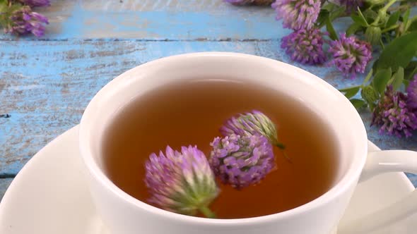 Brewing a tisanes from red clover in a white cup. 