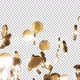 Coins Falling - 6 clips - VideoHive Item for Sale