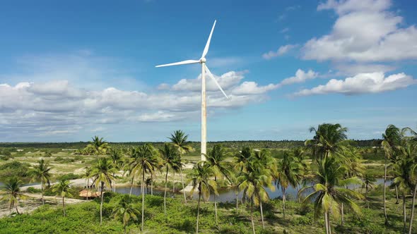 Brazilian landmark rainwater lakes and sand dunes. Jericoacoara Ceara.