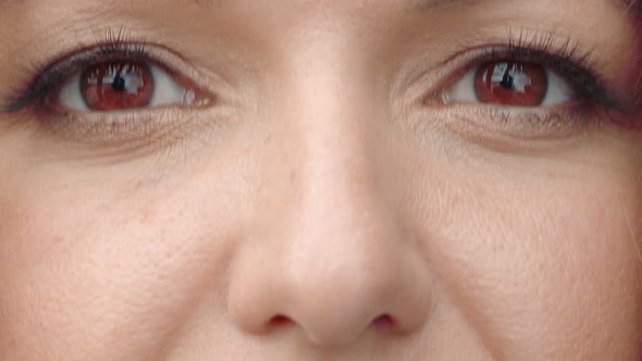 Brown Woman Eyes Close Up. Women's Eyes Are Brown, Slowly Closing and Opening. Perfect Female Eyes.