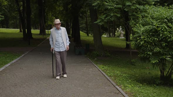 The Pensioner Walks in the Park Near His House