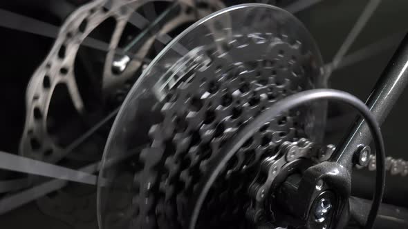 Bicycle Wheel Gear and Chain in Motion