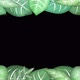 Stylized picture frame made of animated leaves with empty space - VideoHive Item for Sale