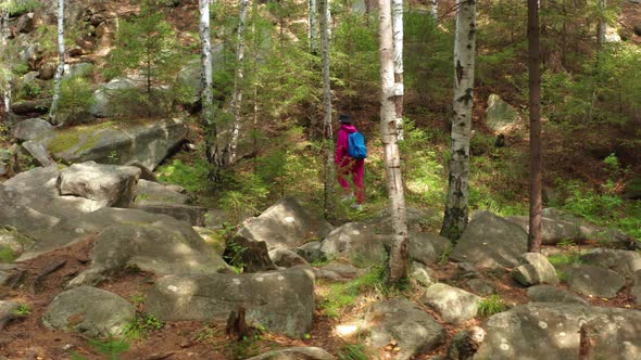 Aerial View of a Girl Walking in the Woods